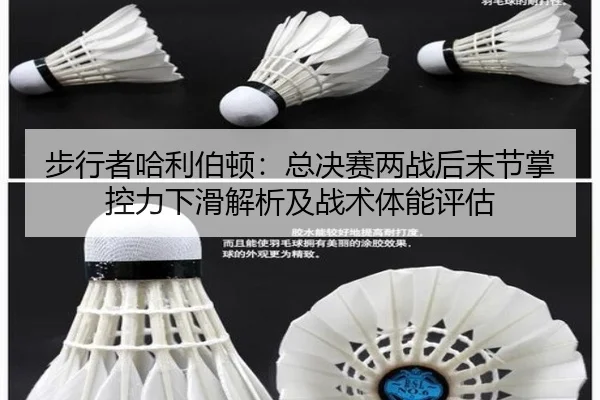 bu-xing-zhe-ha-li-bo-dun-zong-jue-sai-liang-zhan-hou-mo-jie-zhang-kong-li-xia-hua-jie-xi-ji-zhan-shu-ti-neng-ping-gu-2-775.jpg